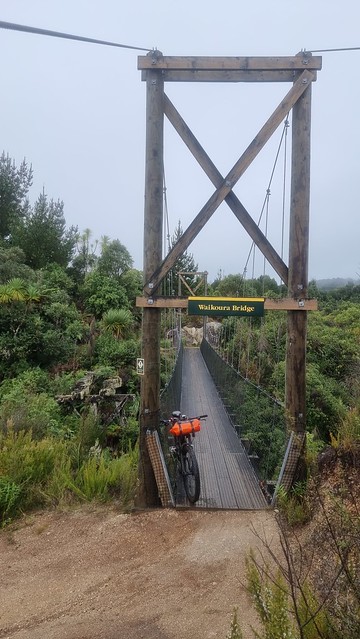 Waikoura Bridge, Timber Trail, Pureora Forest