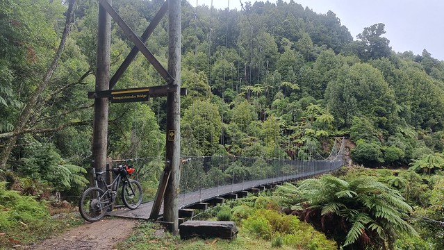 Mangatukutuku Bridge, Timber Trail, Pureora Forest