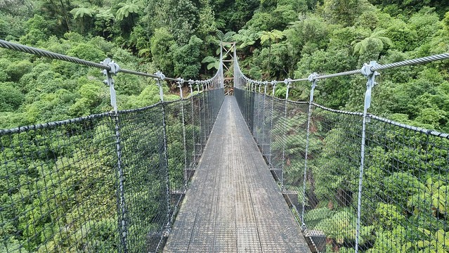 Mangatukutuku Bridge, Timber Trail, Pureora Forest