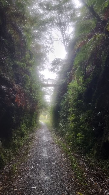 Ongarue Spiral, Timber Trail, Pureora Forest