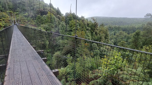 Orauwaka Bridge, Timber Trail, Pureora Forest