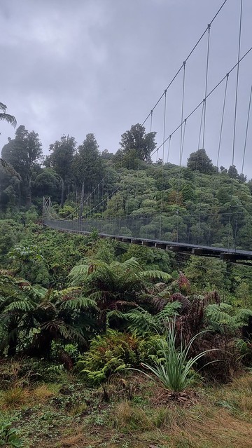 Orauwaka Bridge, Timber Trail, Pureora Forest