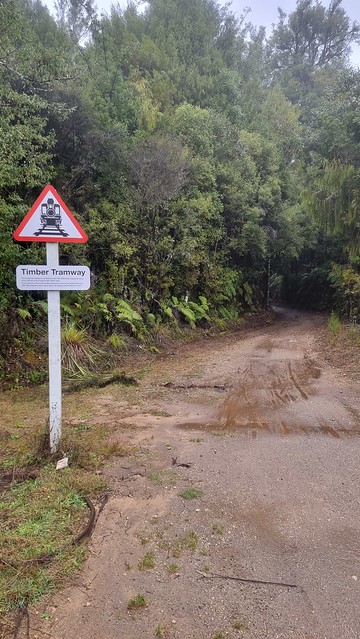 Timber Trail, Pureora Forest