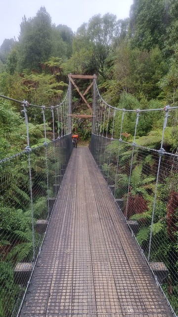 Waione Bridge, Timber Trail, Pureora Forest