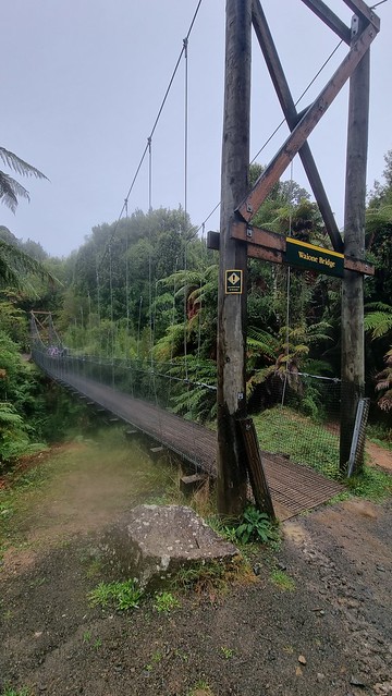 Waione Bridge, Timber Trail, Pureora Forest