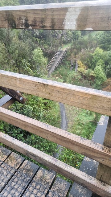 Ongarue Spiral, Timber Trail, Pureora Forest
