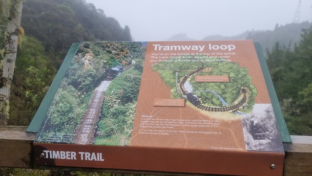 Ongarue Spiral, Timber Trail, Pureora Forest