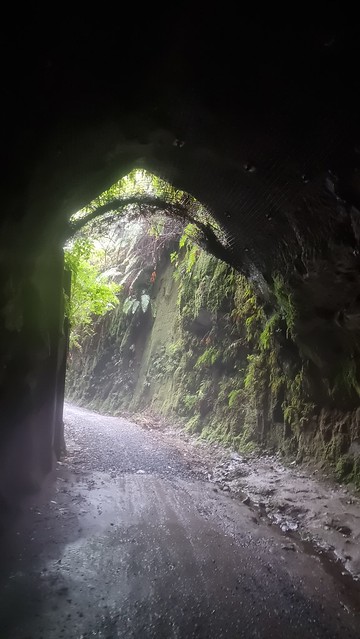 Ongarue Spiral, Timber Trail, Pureora Forest