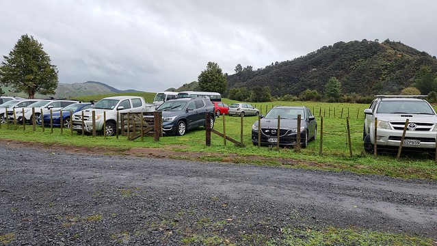 Timber Trail Shuttle and Bike Hire, Ongarue