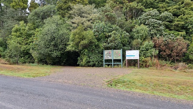 Timber Trail Start, Pureora Village