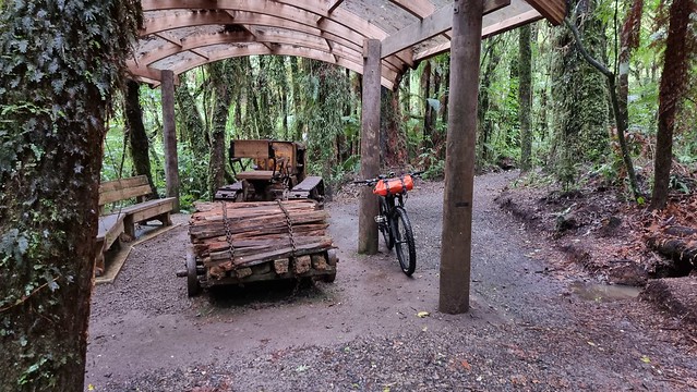 Timber Trail logging relics, Pureora Forest