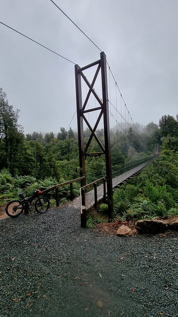 Bog Inn Creek Bridge, Timber Trail, Pureora Forest