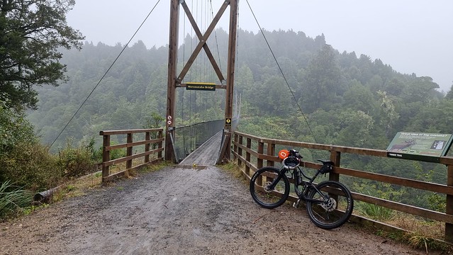 Maramataha Bridge, Timber Trail, Pureora Forest