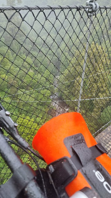 Maramataha Bridge, Timber Trail, Pureora Forest