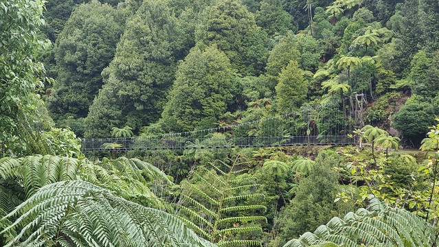 Waikoura Bridge, Timber Trail, Pureora Forest