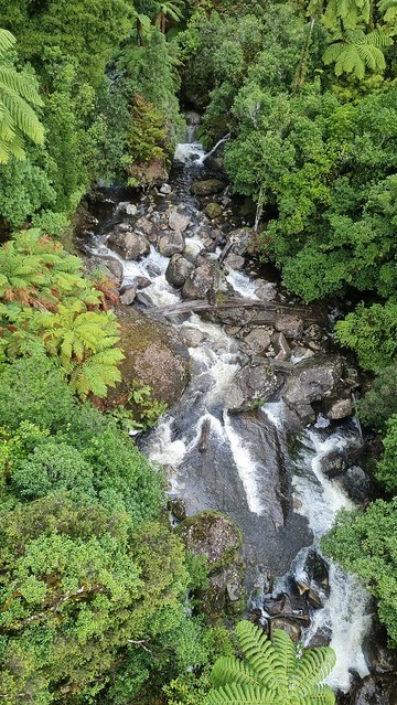 Mangatukutuku Bridge, Timber Trail, Pureora Forest