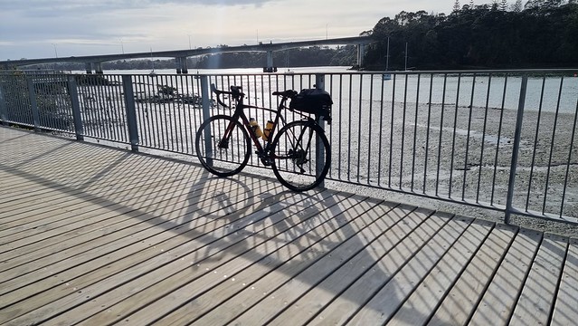 Hobsonville | Last autumn ride