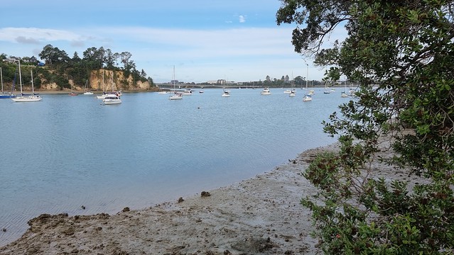 Herald Island | Last autumn ride