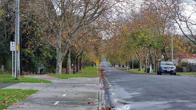 Seabrook Avenue Cycle Path | New Lynn