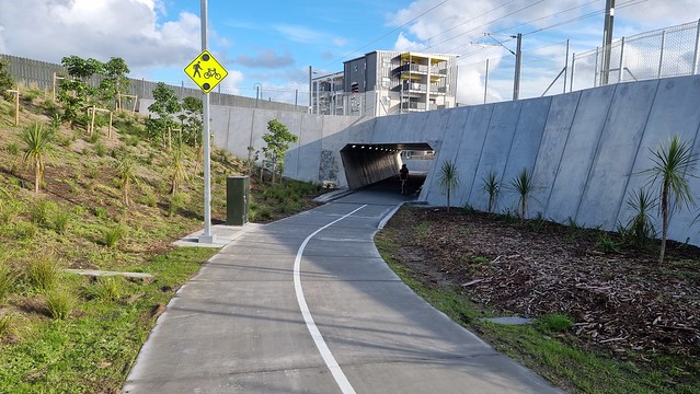 Chalmers Reserve Rail Underpass | Avondale - New Lynn Path