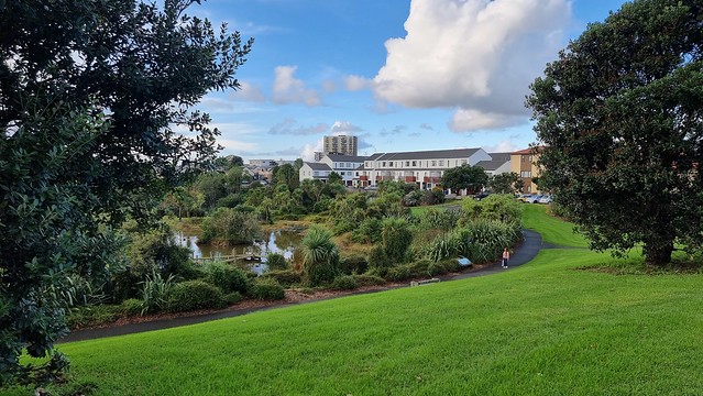 Manawa Wetland Reserve | Avondale - New Lynn Path