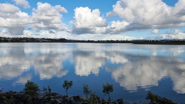 Waterview reflections from SH16 North-Western Cyclepath