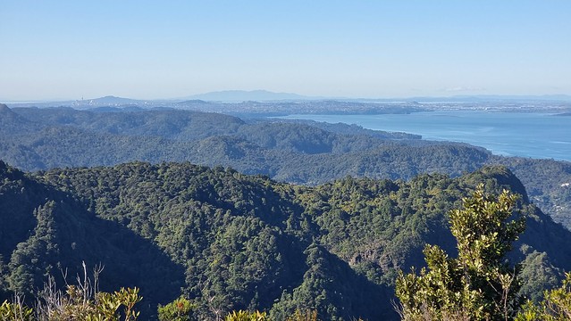 Mt Donald McLean Huia