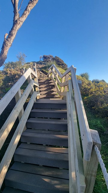 Steps | Ōmanawanui Track Whatipu