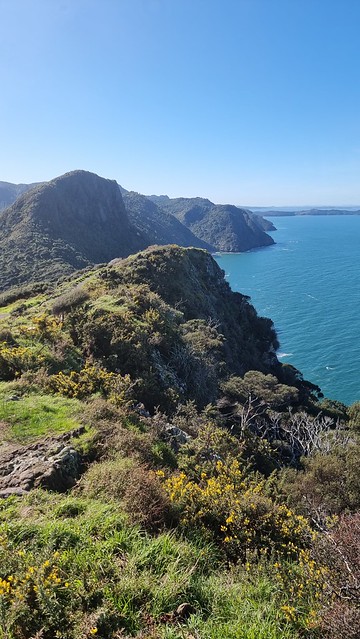 Towards Huia and Cornwallis | Ōmanawanui Track Whatipu
