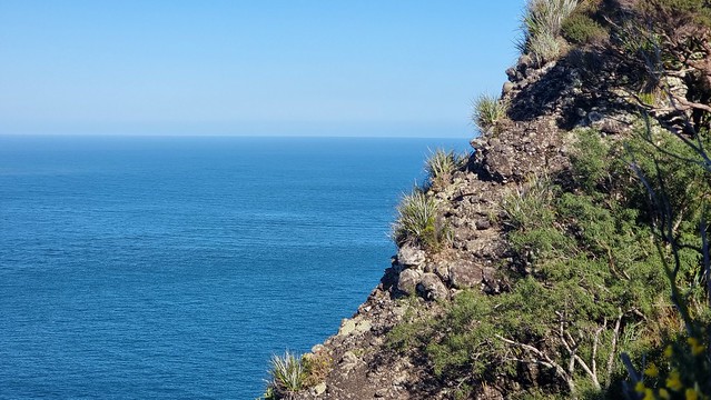 Ōmanawanui Track Whatipu
