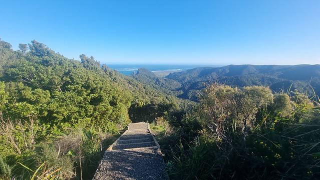 Puriri Ridge Track Whatipu