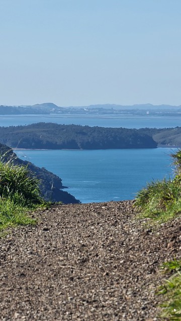 Towards Auckland | Ōmanawanui Track Whatipu