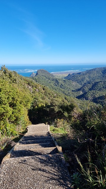 Puriri Ridge Track Whatipu
