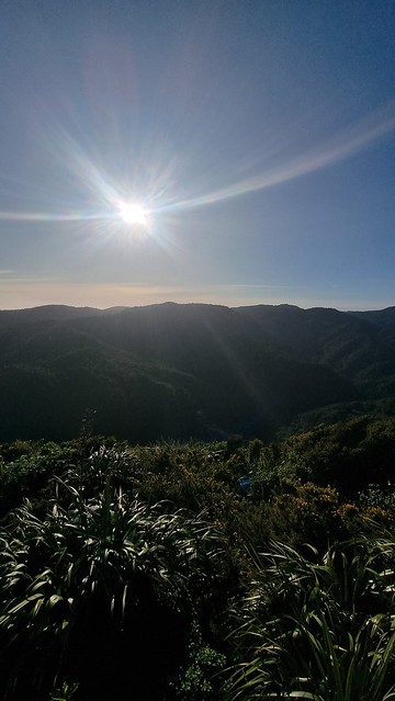 Ōmanawanui Track Whatipu