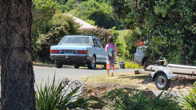 Mint Blue Bluebird @ Tata Beach, Golden Bay, NZ