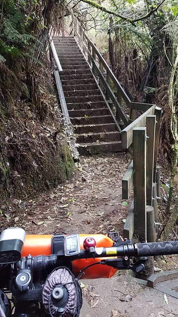 Mangarewa Bridge Side Trail