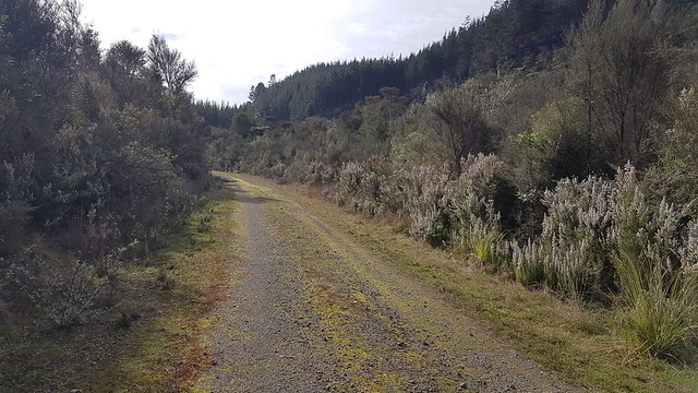 Mangarewa Bridge Side Trail
