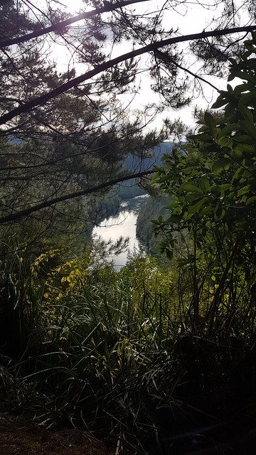 Mangarewa Bridge Side Trail
