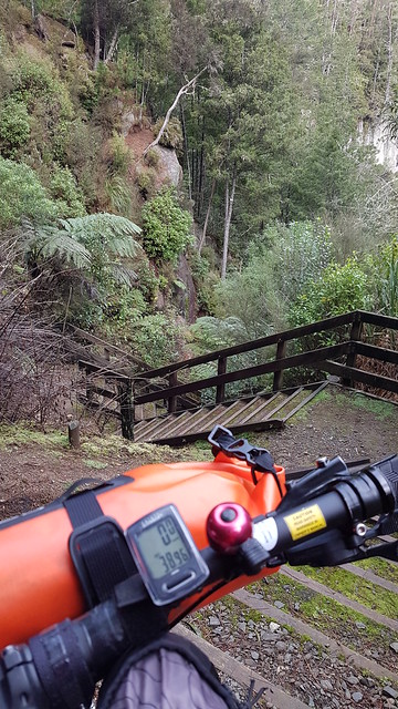 Mangarewa Bridge Side Trail