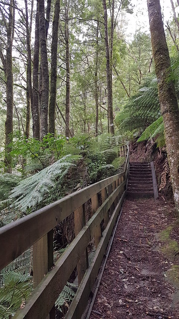 Mangarewa Bridge Side Trail