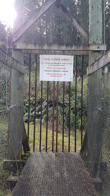 Mangarewa Bridge End