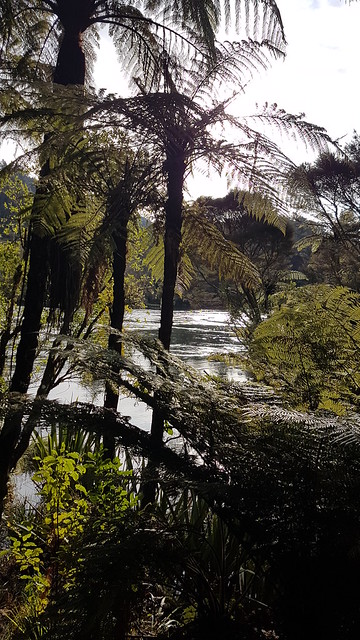 Mangarewa Bridge Side Trail