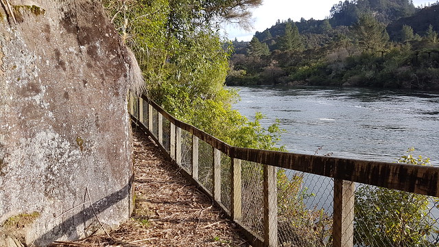 Mangarewa Bridge Side Trail