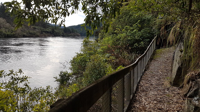Mangarewa Bridge Side Trail