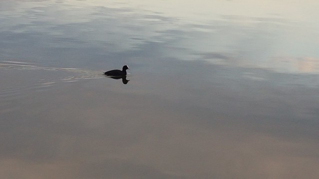 Lake Maraetai, Mangakino