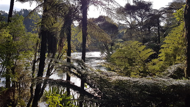 Mangarewa Bridge Side Trail