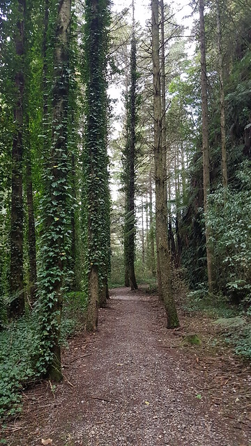 Waikato River Trail Mangakino