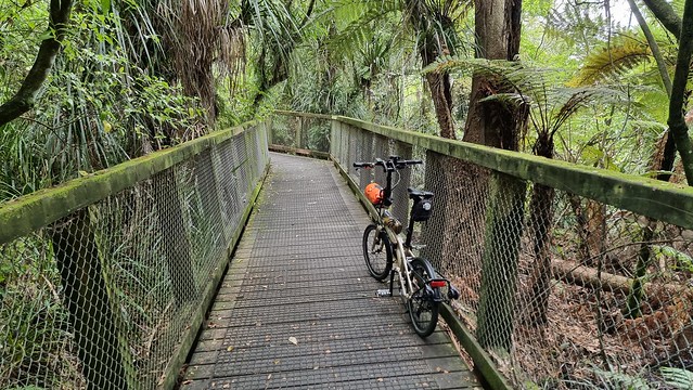 Hammond Park Riverlea Boardwalk