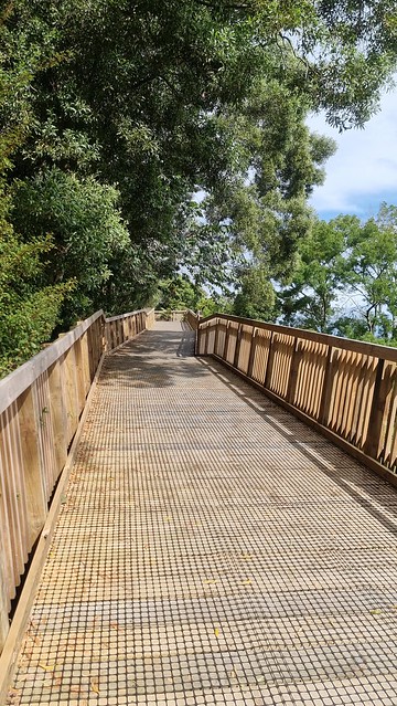 Hammond Park Boardwalk