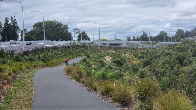 Cobham Drive interchange Hamilton Gardens